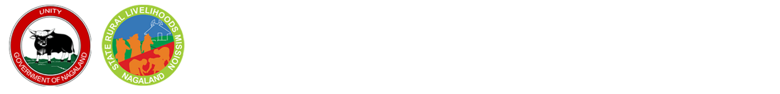 nsrlm-logo